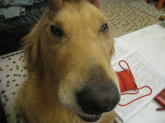 ファイル 1391-5.jpg