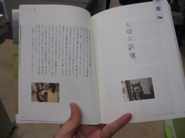 ファイル 1392-2.jpg