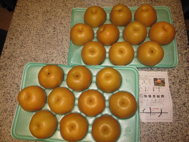 ファイル 1393-1.jpg