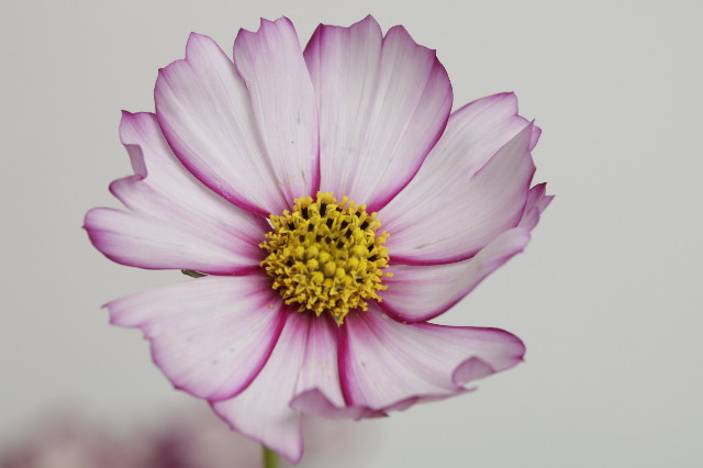 ファイル 1393-5.jpg