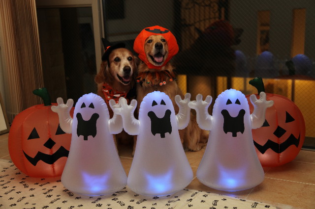 ファイル 1394-1.jpg