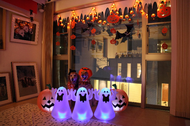 ファイル 1394-2.jpg