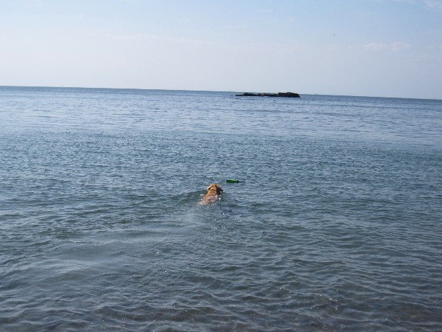 ファイル 1397-3.jpg