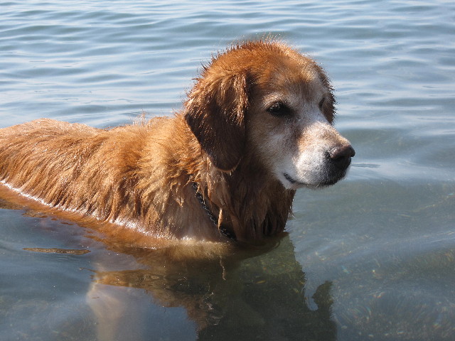 ファイル 1397-5.jpg