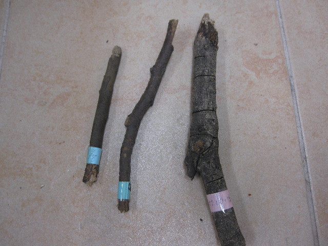 ファイル 1400-5.jpg