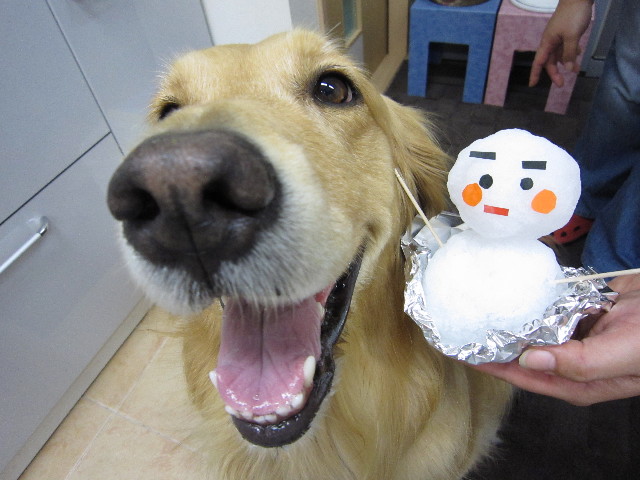 ファイル 1402-2.jpg