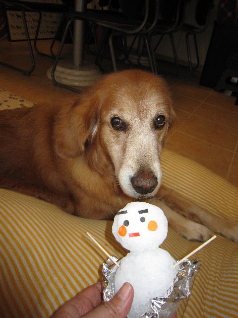 ファイル 1402-3.jpg