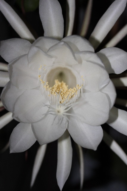 ファイル 1405-3.jpg