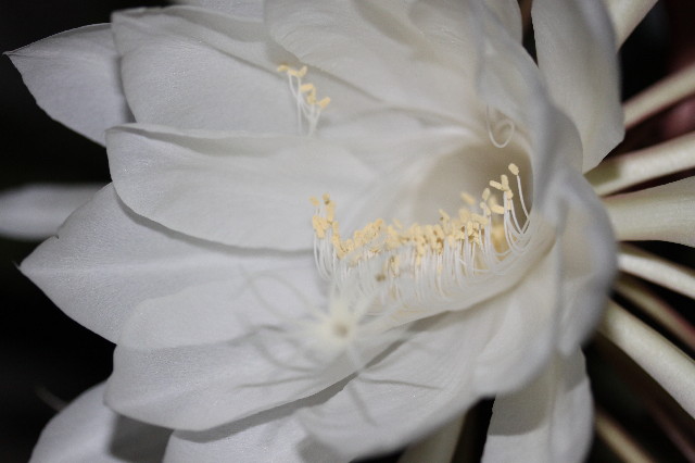 ファイル 1405-5.jpg