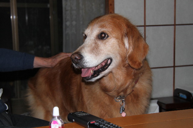 ファイル 1409-1.jpg