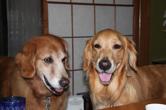 ファイル 1409-2.jpg