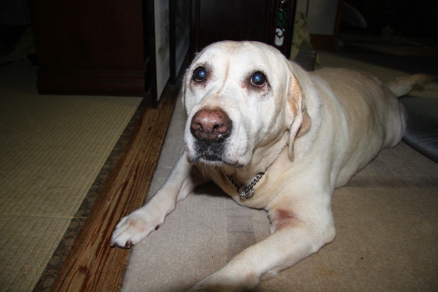 ファイル 1409-3.jpg