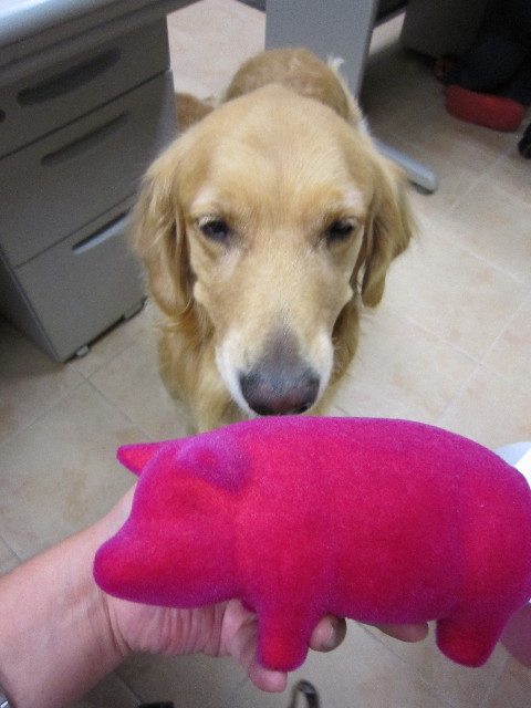 ファイル 1412-5.jpg