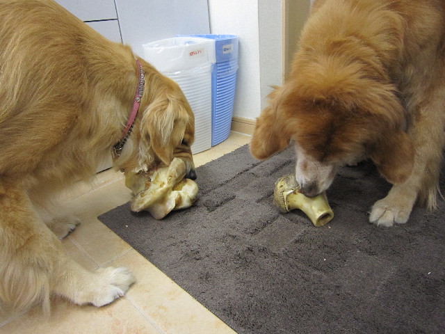 ファイル 1415-1.jpg