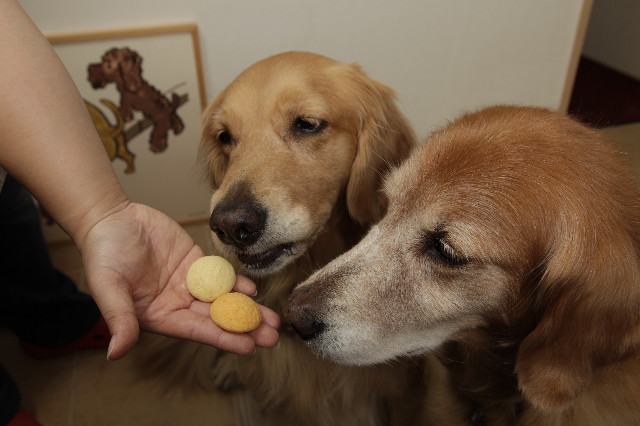 ファイル 1415-4.jpg