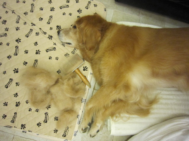 ファイル 1416-3.jpg