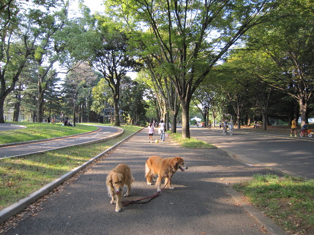 ファイル 1416-4.jpg