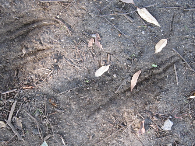 ファイル 1416-5.jpg