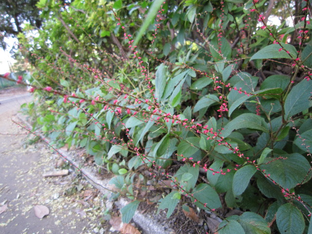 ファイル 1417-2.jpg