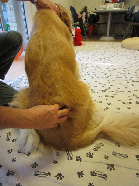 ファイル 1419-4.jpg