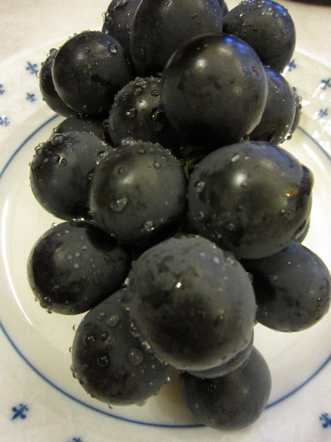 ファイル 1420-1.jpg