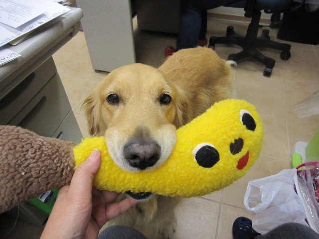 ファイル 1420-5.jpg