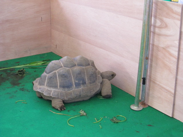 ファイル 1421-2.jpg