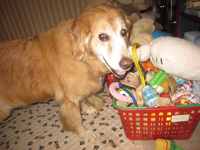 ファイル 1423-1.jpg