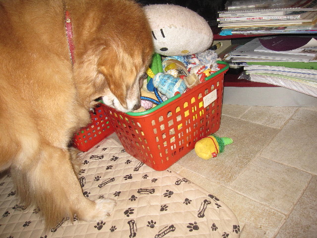 ファイル 1423-2.jpg