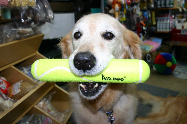 ファイル 1423-3.jpg