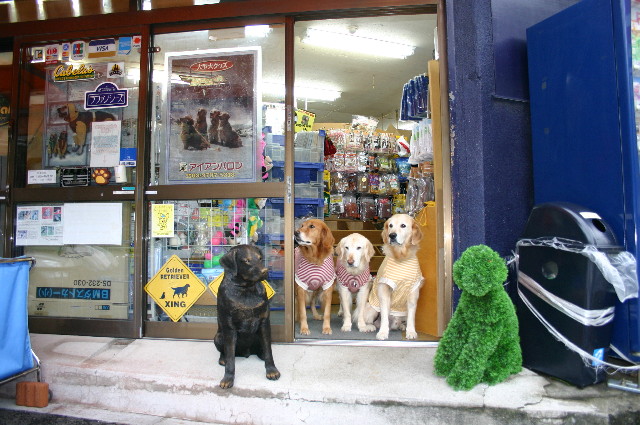 ファイル 1423-4.jpg