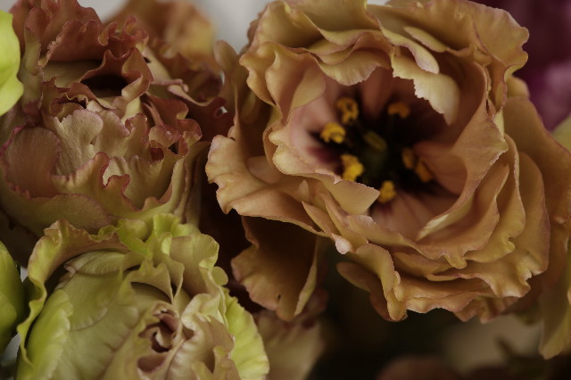 ファイル 1424-2.jpg