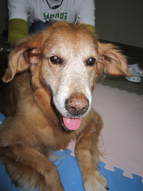 ファイル 1425-4.jpg