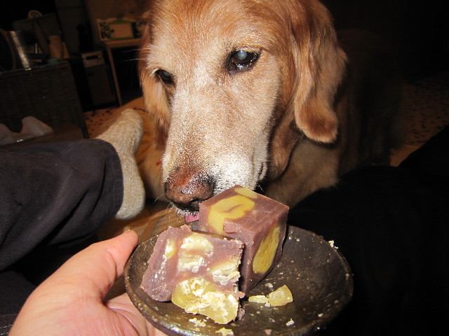 ファイル 1426-2.jpg