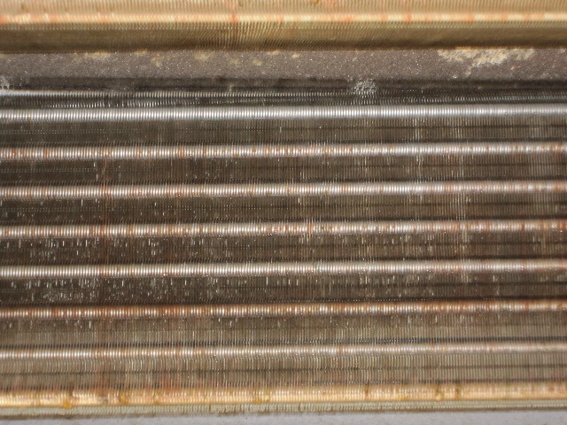 ファイル 1427-3.jpg