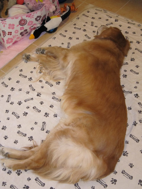 ファイル 1427-5.jpg