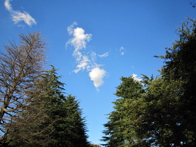 ファイル 1428-1.jpg