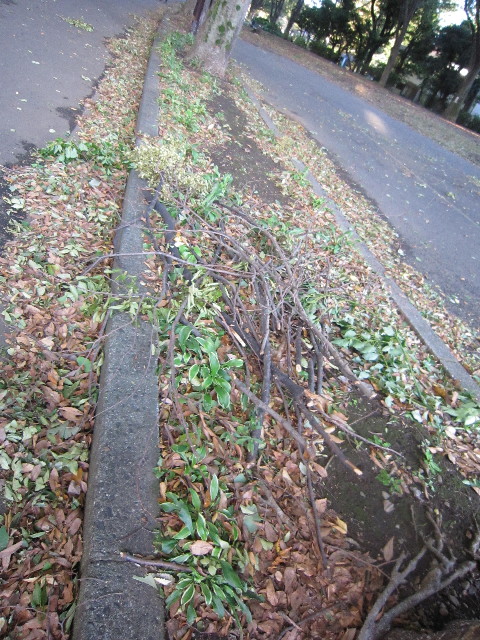 ファイル 1428-2.jpg