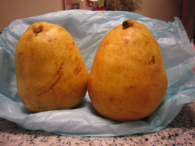 ファイル 1428-4.jpg