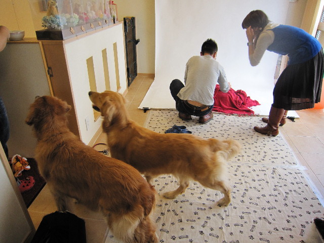 ファイル 1428-5.jpg