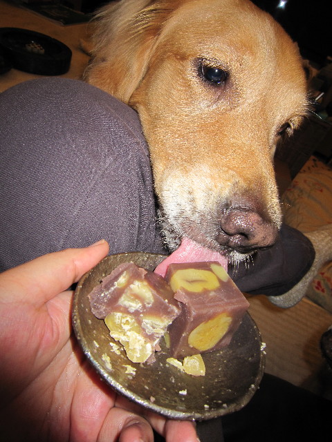 ファイル 1431-2.jpg