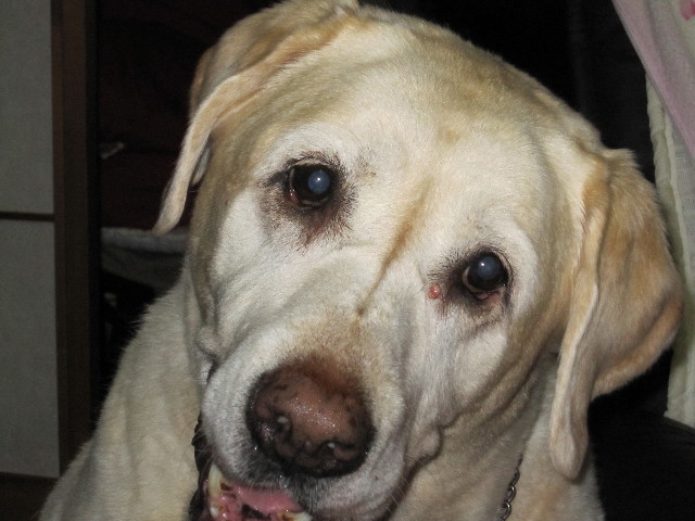 ファイル 1431-3.jpg