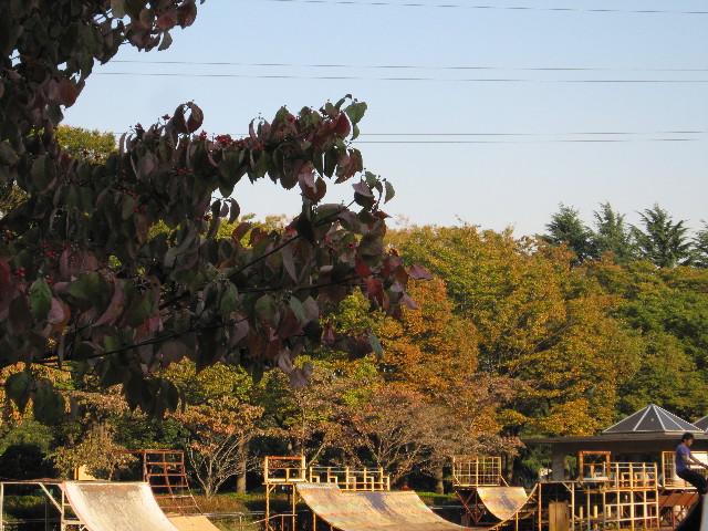 ファイル 1432-1.jpg