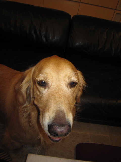 ファイル 1433-1.jpg