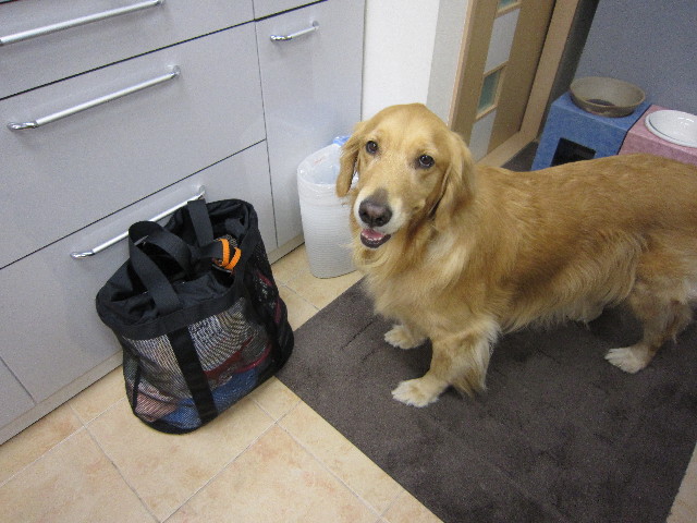 ファイル 1433-2.jpg