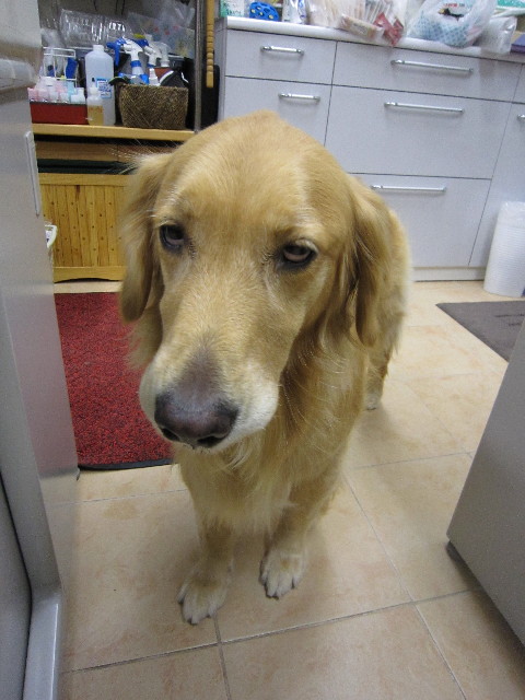 ファイル 1433-5.jpg