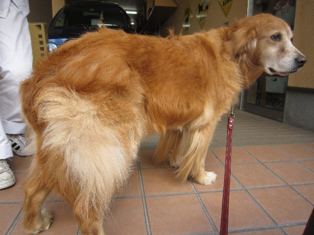 ファイル 1434-2.jpg