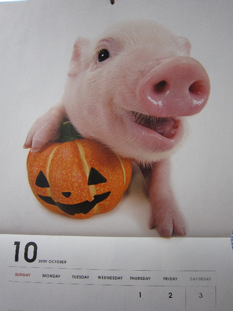 ファイル 1434-5.jpg