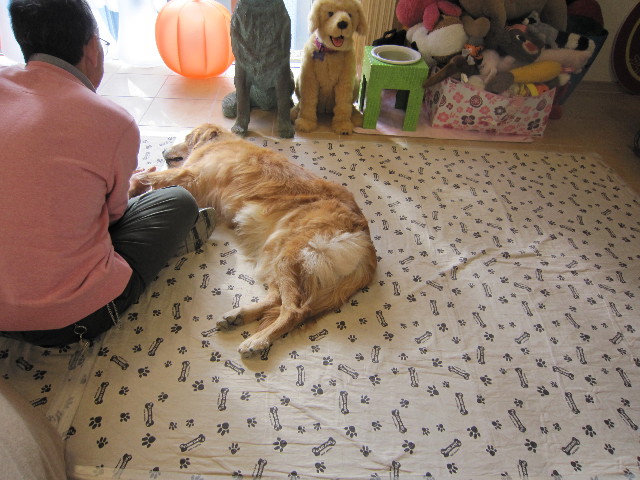 ファイル 1435-1.jpg