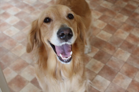 ファイル 1436-1.jpg